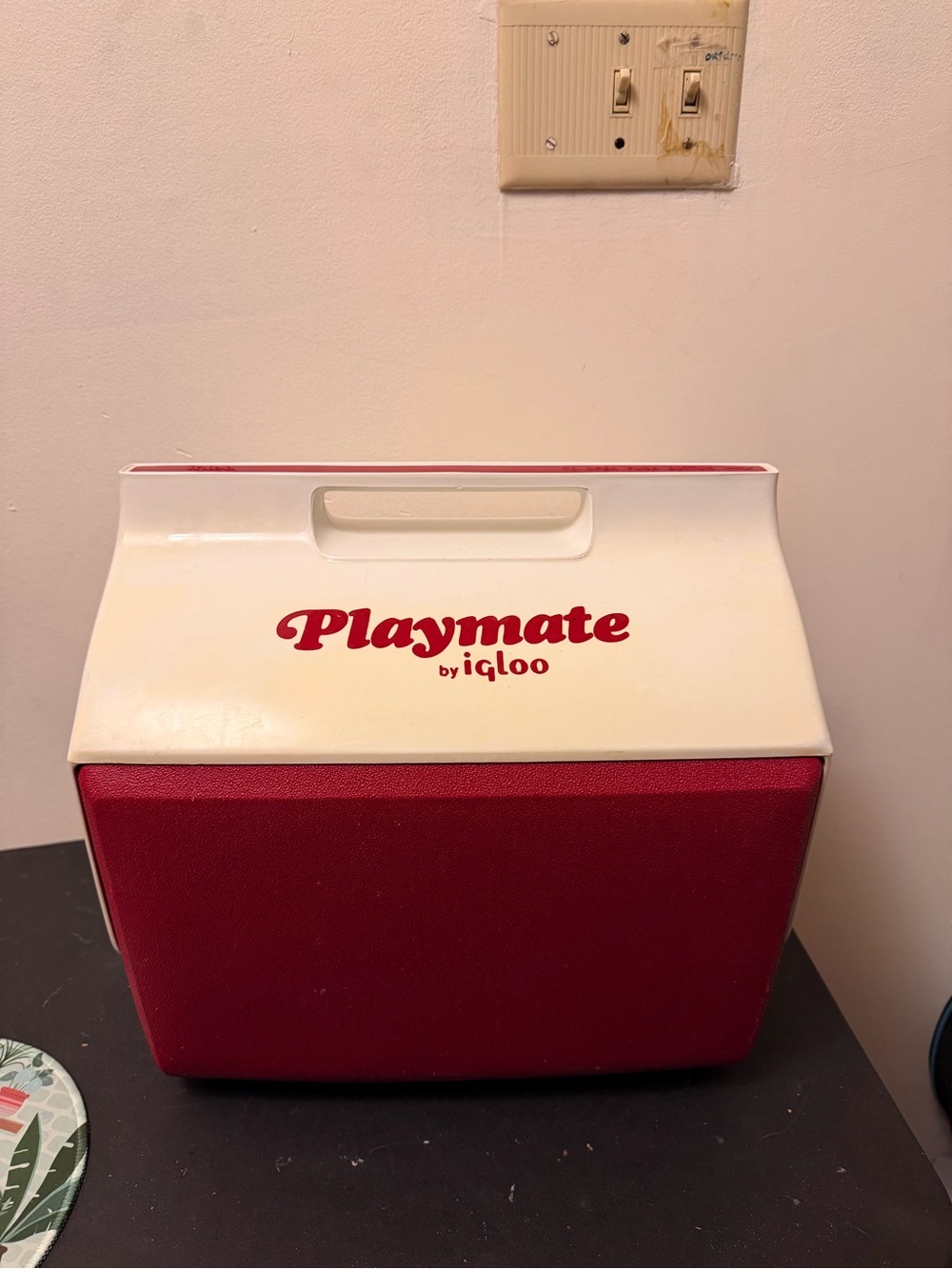 Vintage Playmate by Igloo Cooler